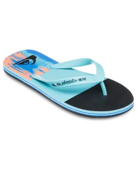 Molokai Stripe 25 Flip Flops in Nebulas Blue Bloomfade