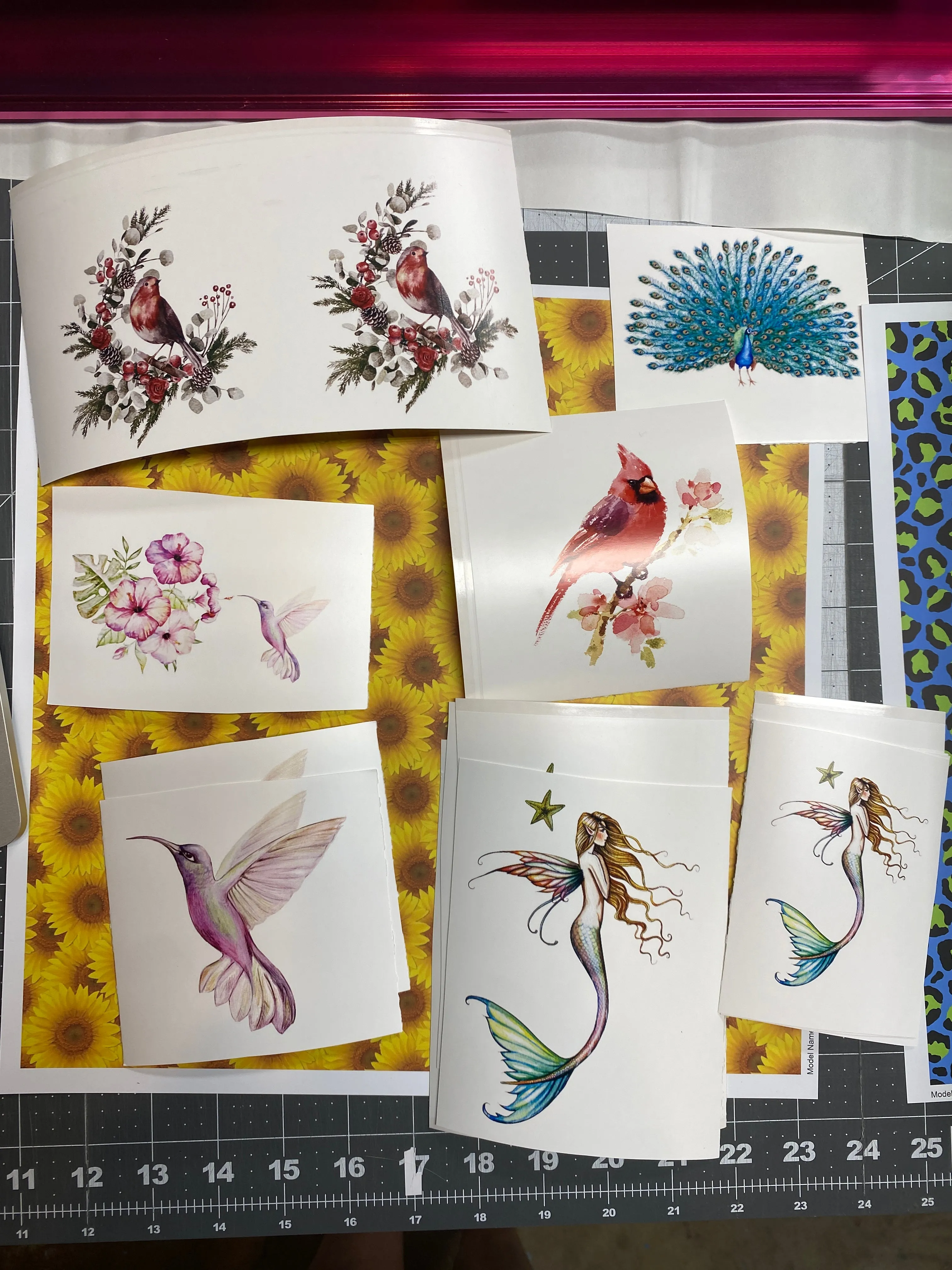 Waterslide Decal CLEARANCE Assorted images printed on WHITE