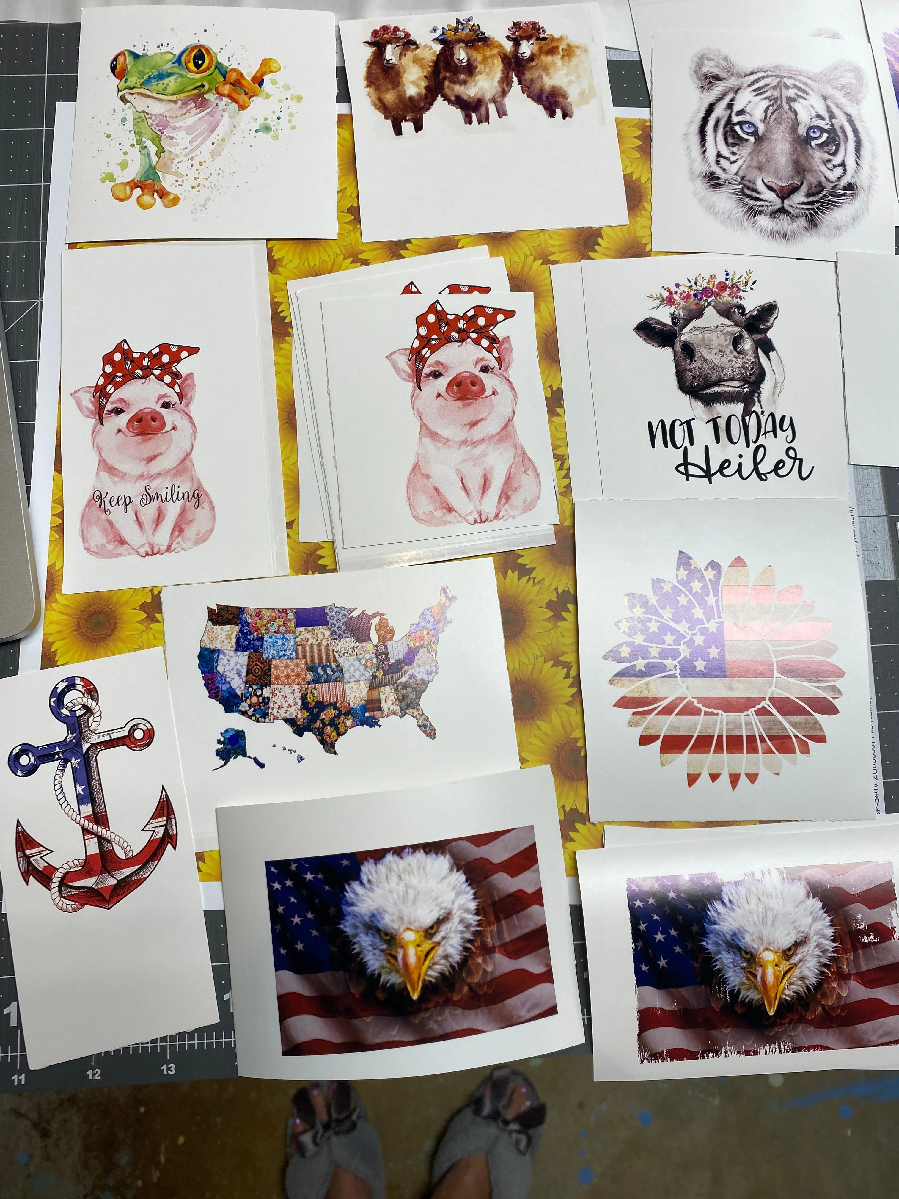 Waterslide Decal CLEARANCE Assorted images printed on WHITE