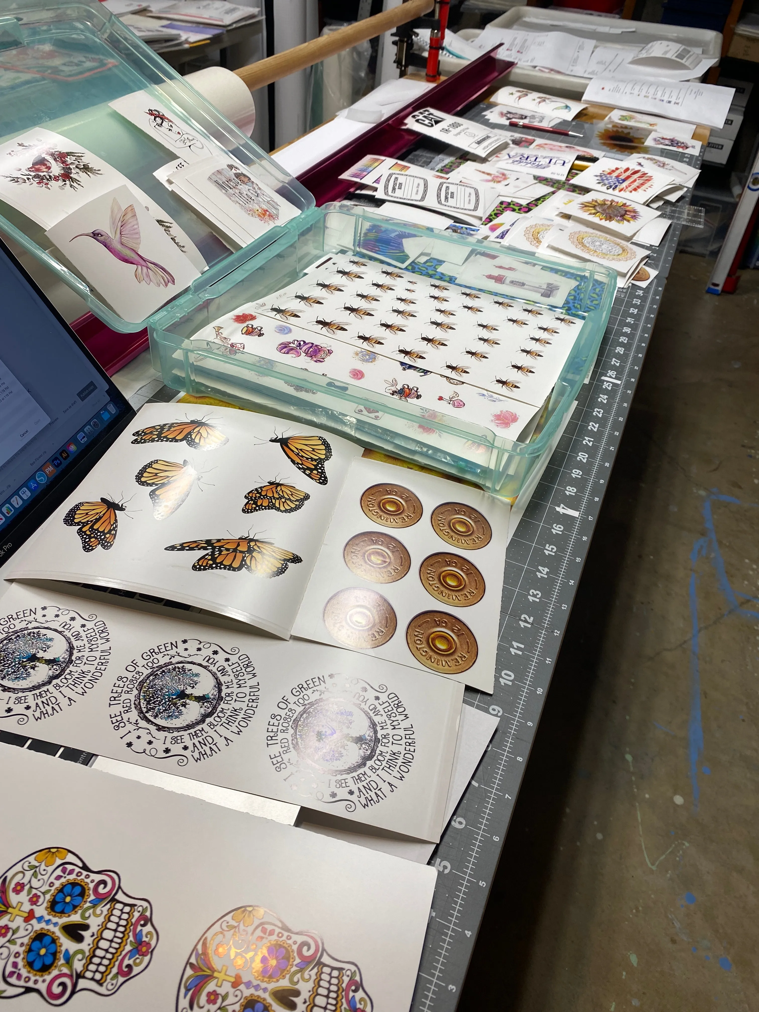 Waterslide Decal CLEARANCE Assorted images printed on WHITE