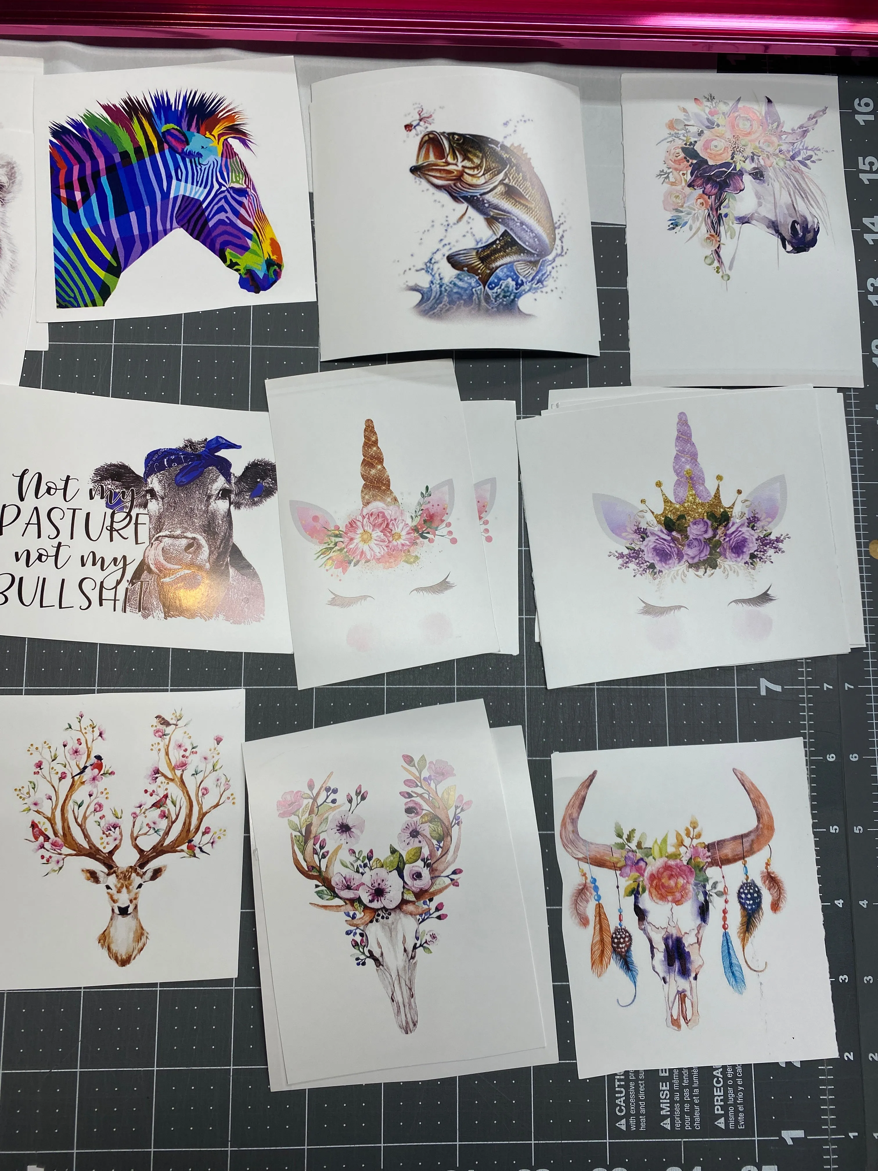 Waterslide Decal CLEARANCE Assorted images printed on WHITE